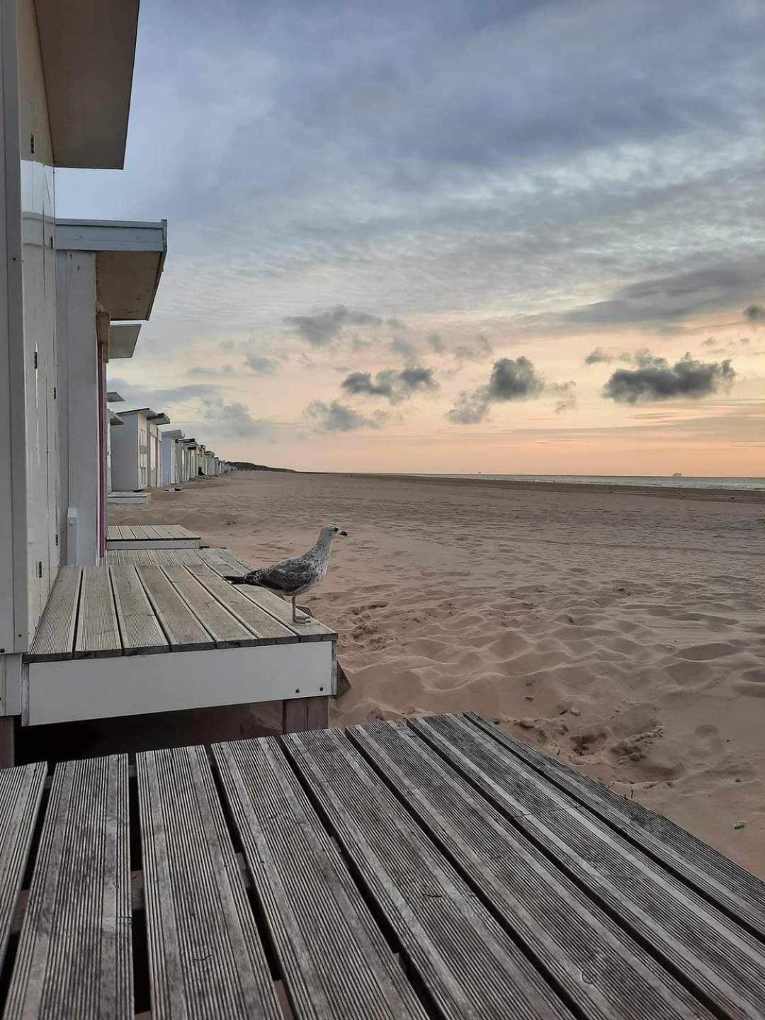 Calais Plage-Gare Appartement Elegant Tout Equipe Bagian luar foto